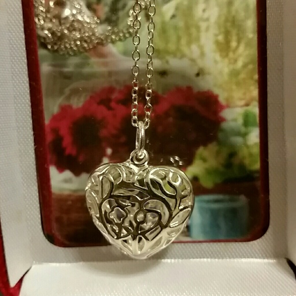 Jewelry - 925 sterling silver heart & chain